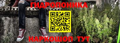 крисы Обнинск