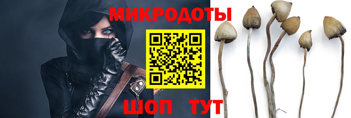 Галлюциногенные грибы прущие грибы Туймазы